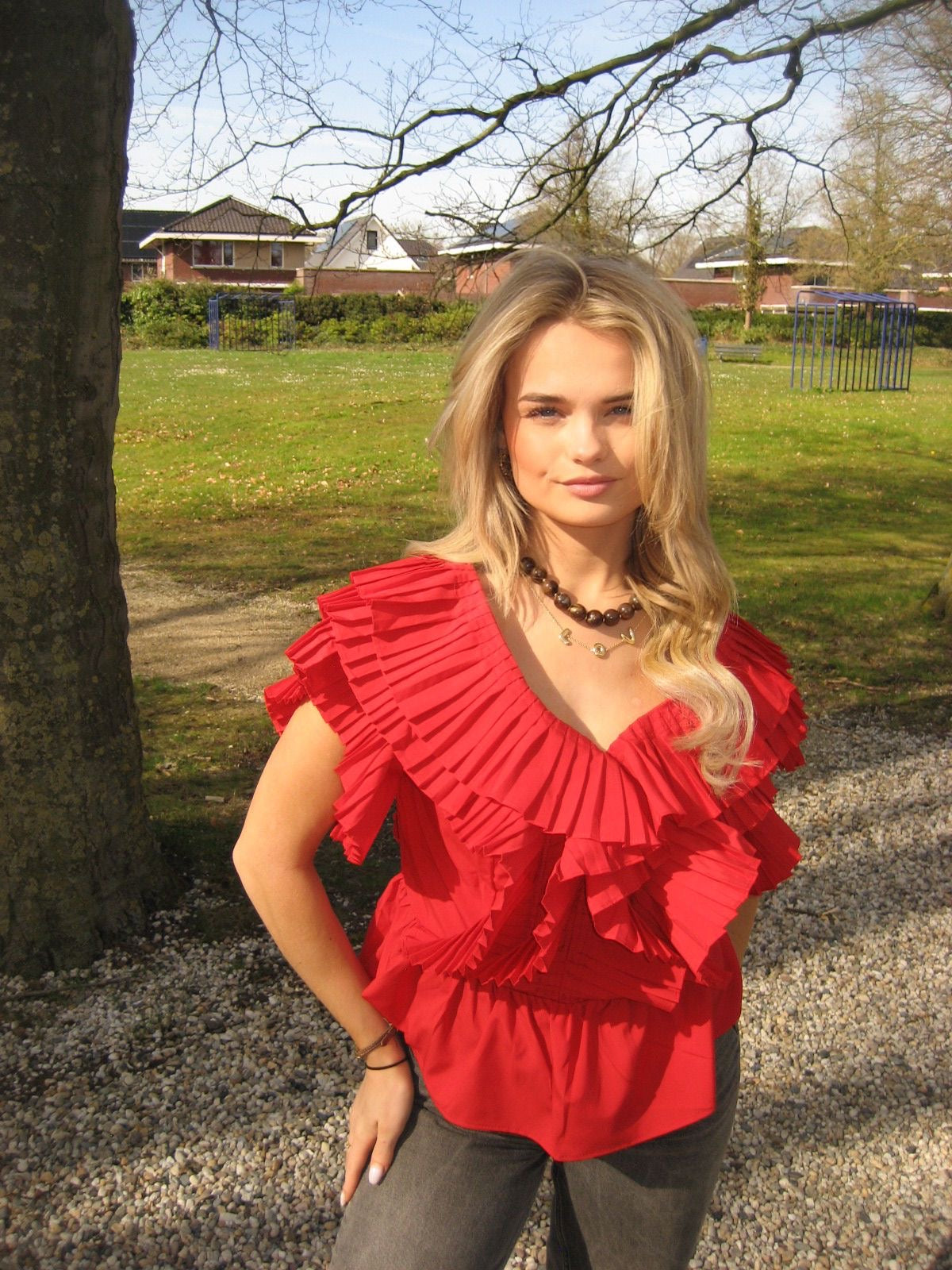 Isabel top rood
