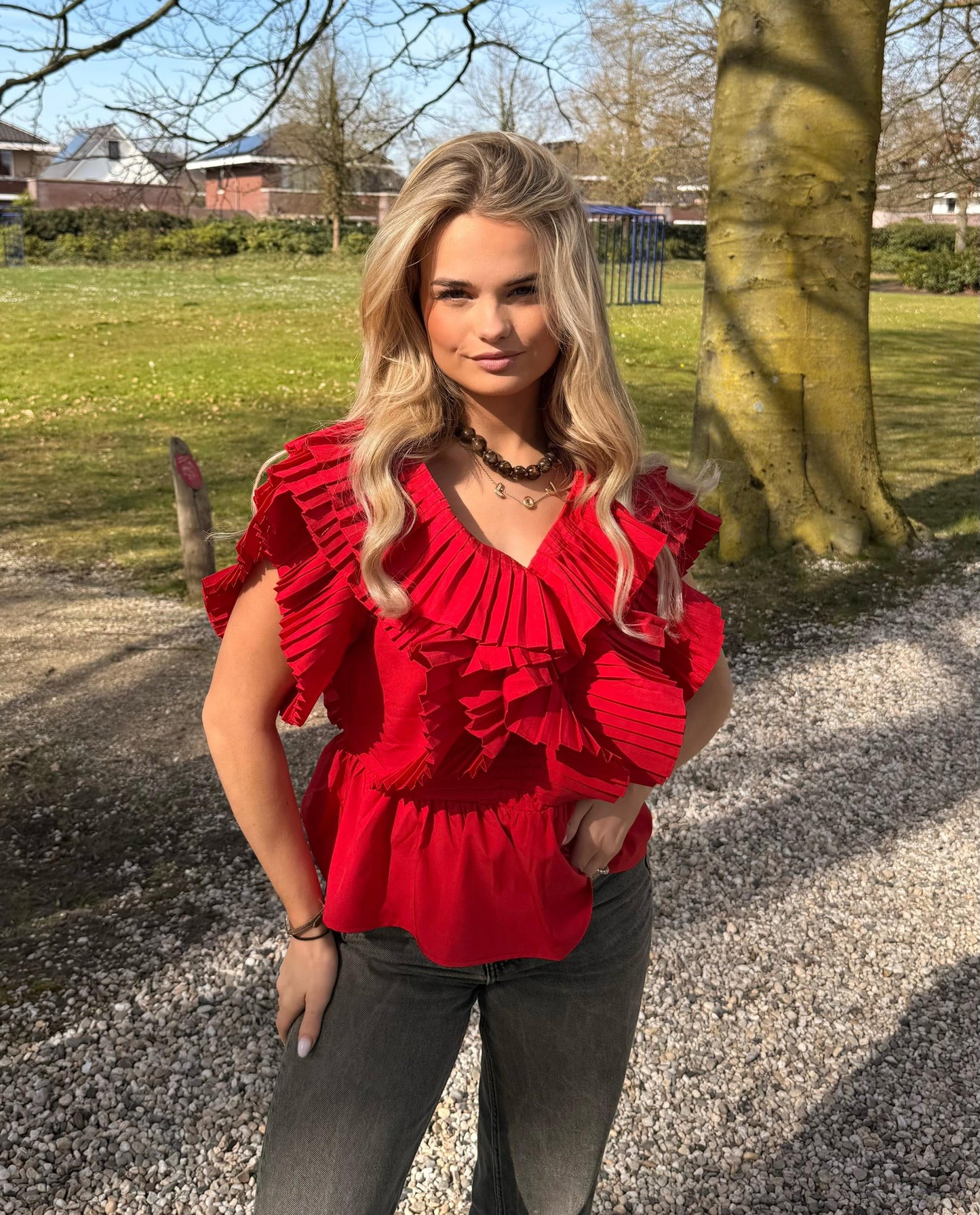 Isabel top rood