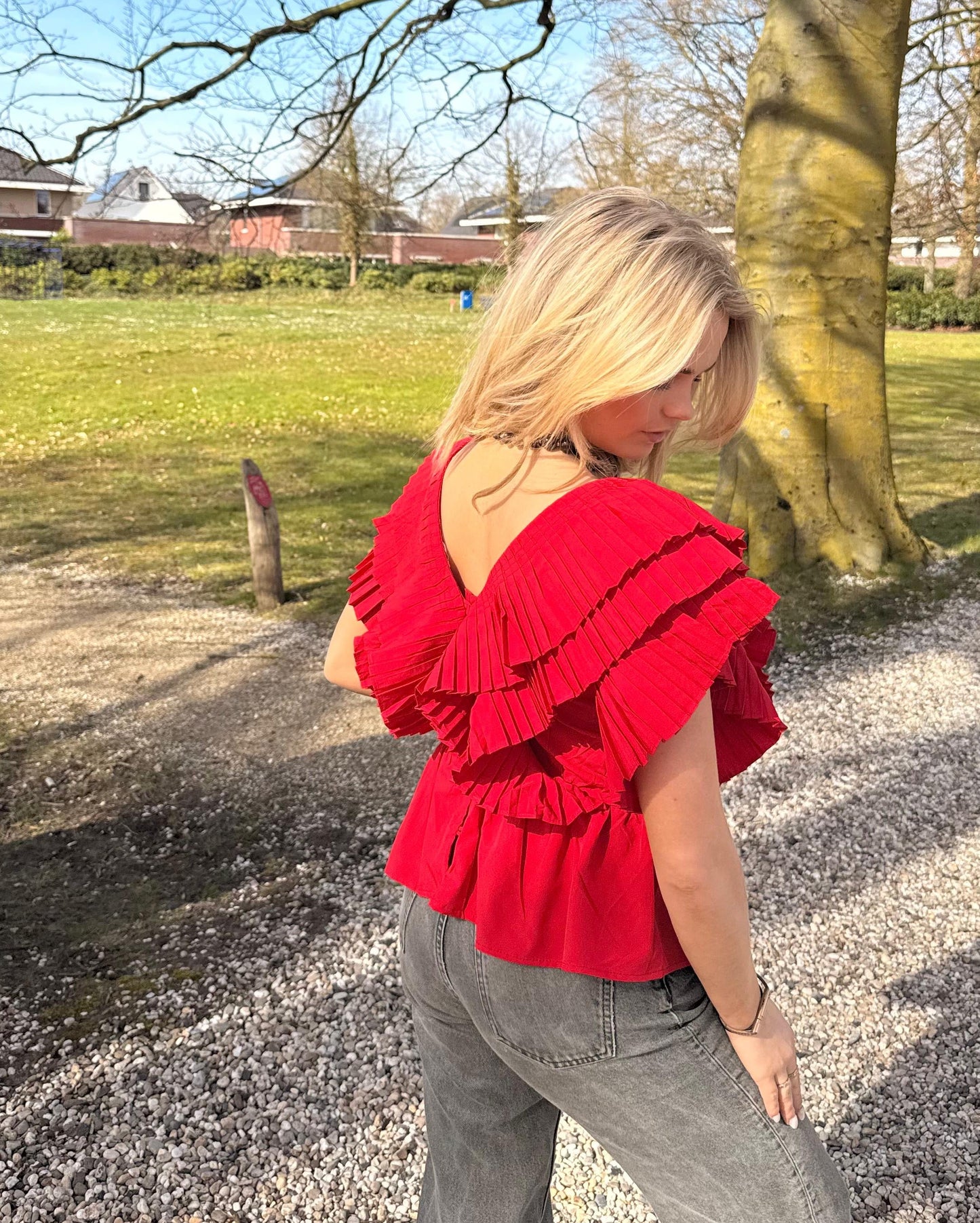Isabel top rood